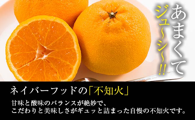 宮崎県日南市のふるさと納税 数量限定 ネイバーフッド 不知火 計4kg以上 傷み補償分付き 期間限定 フルーツ 果物 くだもの しらぬい 国産 食品 デザート おやつ フルーツサンド おすすめ ご褒美 産地直送 みかん 柑橘 ジュース プレゼント ギフト 贈答 贈り物 宮崎県 日南市 送料無料_B240-24