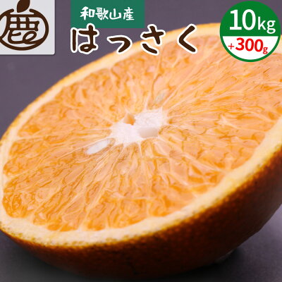 ZH6906n_【先行予約】厳選 はっさく 10kg + 300g （傷み補償分）
