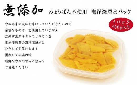 北海道江差町のふるさと納税 北海道 江差前浜産 生うに 500g（100g×5パック）【無添加・みょうばん不使用】江差産天然キタムラサキウニ　日本海熊石産海洋深層水　塩水ウニ　素材を生かした自然の味　国産うに　雲丹　100グラムパック個包装