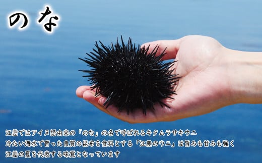 北海道江差町のふるさと納税 北海道 江差前浜産 生うに 500g（100g×5パック）【無添加・みょうばん不使用】江差産天然キタムラサキウニ　日本海熊石産海洋深層水　塩水ウニ　素材を生かした自然の味　国産うに　雲丹　100グラムパック個包装