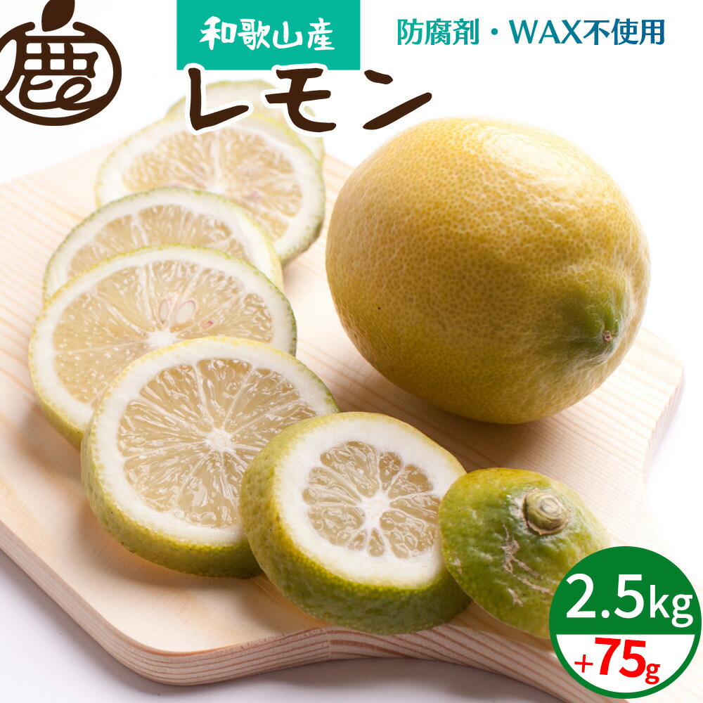 ZH6909n_厳選 黒潮レモン 2.5kg + 75g （傷み補償分）【9月より発送】