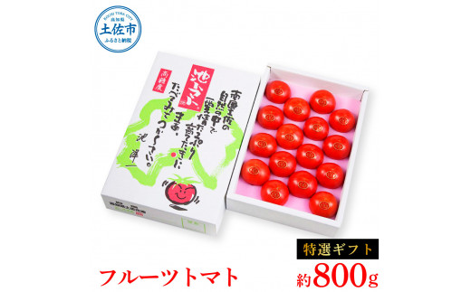 【高知県土佐市】<2026年1月下旬より発送>フルーツトマト特選ギフト約800g トマト フルーツトマト 池トマト 糖度10度以上 高糖度 高知県産 ギフト 箱入り 贈答用 贈り物 健康 美味しい ふるーつとまと お取り寄せグルメ