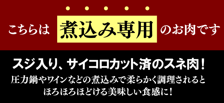 北海道石狩市のふるさと納税 760004 黒毛和牛カレー・シチュー サイコロカット（煮込み用）500g