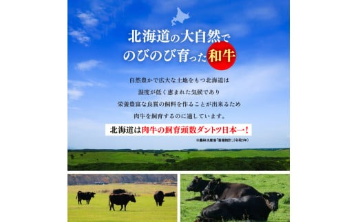 北海道石狩市のふるさと納税 760004 黒毛和牛カレー・シチュー サイコロカット（煮込み用）500g