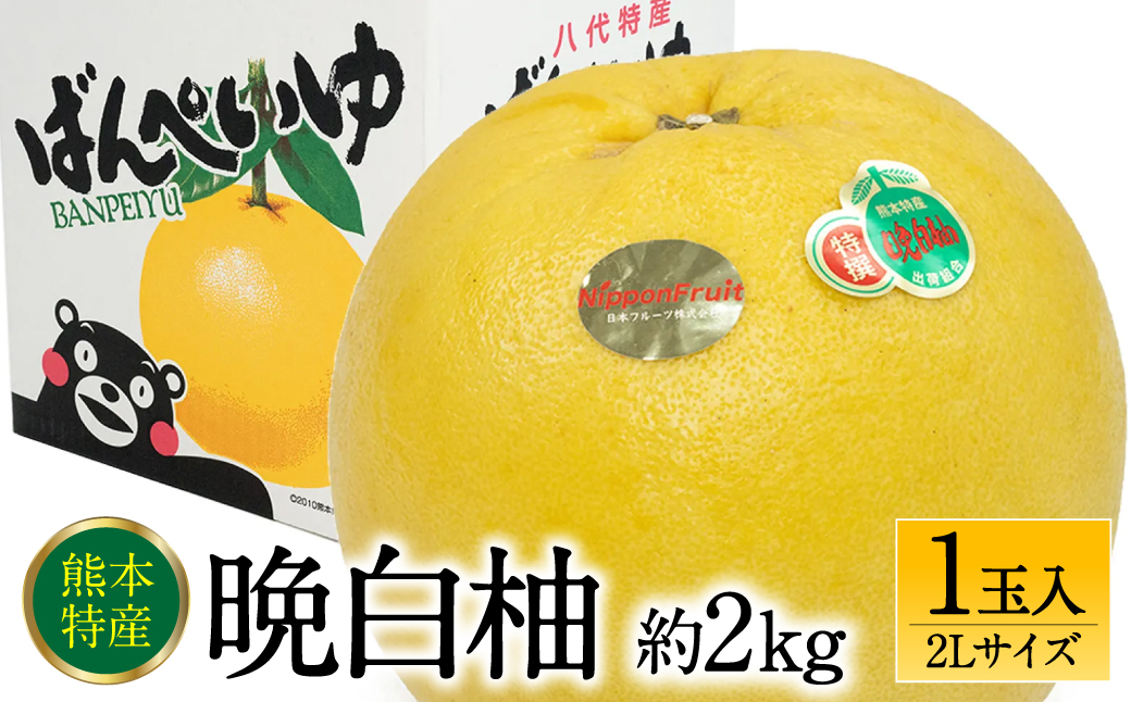 熊本県産の晩白柚　2Lサイズ　5個入り　(7〜8kg箱込み)