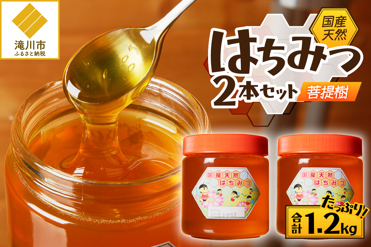 【北海道滝川市】高見養蜂場 の 天然はちみつ (菩提樹、シナの木600g×2本)|北海道 滝川市 産 はちみつ ハチミツ 天然 菩提樹 シナの木 蜂蜜 天然蜂蜜
