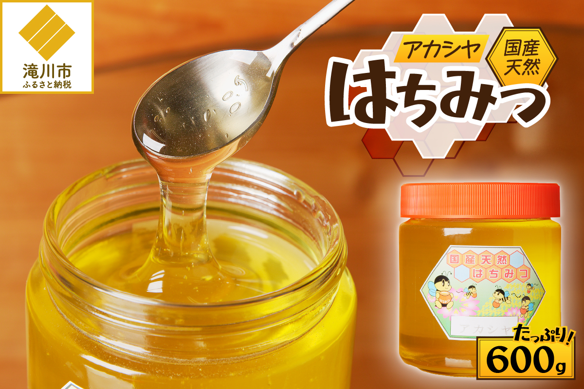 【北海道滝川市】高見養蜂場 の 天然はちみつ (アカシヤ600g×1本)|北海道 滝川市 産 はちみつ ハチミツ 天然 アカシア アカシヤ 蜂蜜 天然蜂蜜