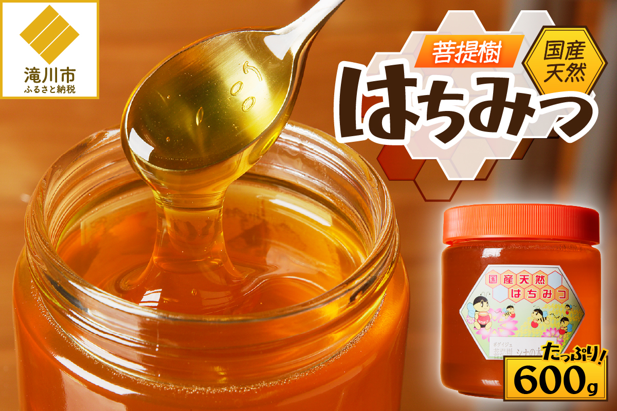 【北海道滝川市】高見養蜂場 の 天然はちみつ (菩提樹、シナの木600g×1本)|北海道 滝川市 産 はちみつ ハチミツ 天然 菩提樹 シナの木 蜂蜜 天然蜂蜜