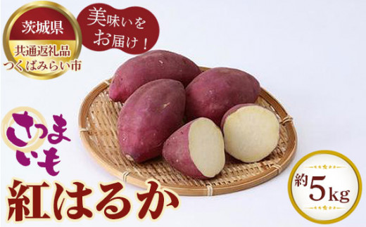 さつまいも 紅はるか 約5kg[茨城県共通返礼品 つくばみらい市] / 旬 新鮮 さつま芋 サツマイモ 野菜 茨城県 特産品