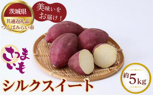さつまいも シルクスイート 約5kg[茨城県共通返礼品 つくばみらい市] / 旬 新鮮 さつま芋 サツマイモ 野菜 茨城県 特産品