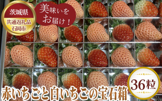 いちご様返品用出品 楽天市場】そのまま使える完熟冷凍いちご 希少品種 味が濃い
