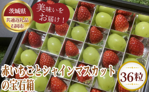 No.354 【先行予約】お歳暮　赤いちごとシャインマスカットの宝石箱　36粒【茨城県共通返礼品 石岡市】 ／ 旬 新鮮 苺 イチゴ 葡萄 ブドウ  果物 フルーツ 茨城県 特産品|