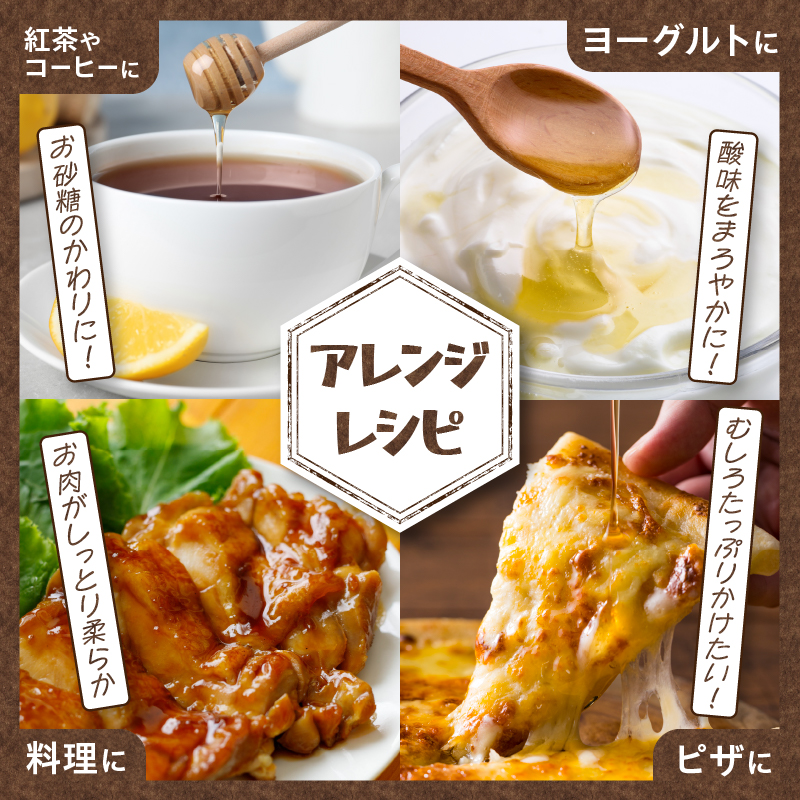 北海道滝川市のふるさと納税 高見養蜂場 の 天然はちみつ (菩提樹、シナの木600g×2本)｜北海道 滝川市 産 はちみつ ハチミツ 天然 菩提樹 シナの木 蜂蜜 天然蜂蜜