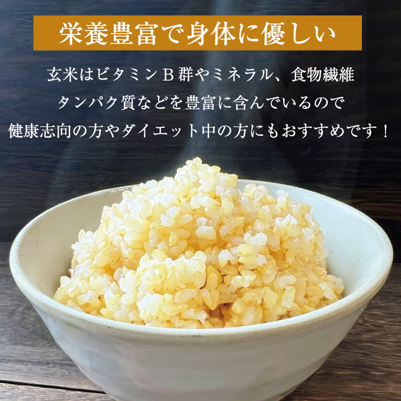 福岡県添田町のふるさと納税 夢つくし玄米PREMIUMパックごはん 160g×24食 [a7414] 酒見食品工業株式会社 ※配送不可：離島【返礼品】添田町 ふるさと納税
