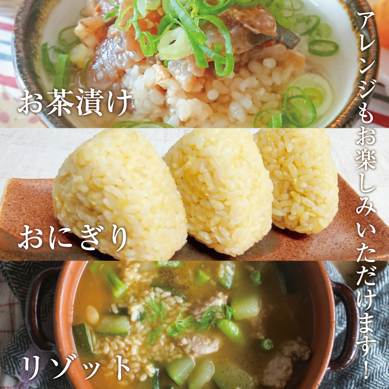 福岡県添田町のふるさと納税 夢つくし玄米PREMIUMパックごはん 160g×24食 [a7414] 酒見食品工業株式会社 ※配送不可：離島【返礼品】添田町 ふるさと納税