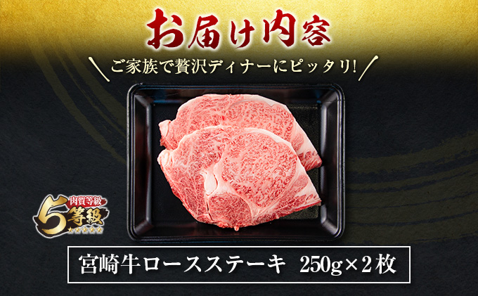 宮崎県日南市のふるさと納税 数量限定 5等級 宮崎牛 ロースステーキ 計500g 肉 牛 牛肉 ロース 黒毛和牛 国産 食品 おかず ステーキ 焼肉 BBQ 送料無料_DB22-23