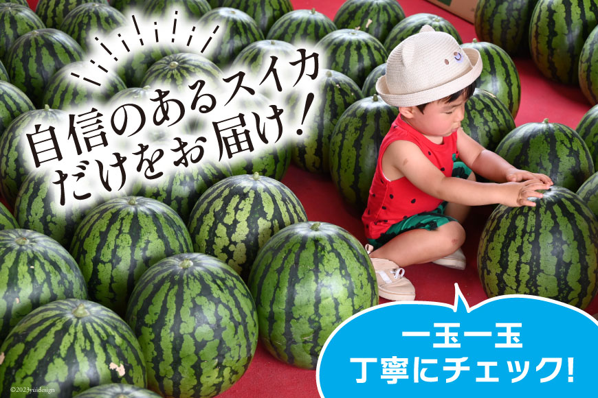 長崎県島原市のふるさと納税 AG060【令和7年度出荷分】超特大！大玉スイカ～羅皇（ラオウ）～（10〜15kg）[先行予約 数量限定 すいか スイカ 西瓜 フルーツ 果物 長崎 長崎県 島原市]