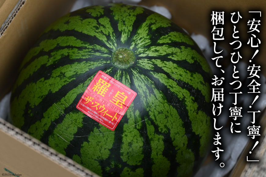 長崎県島原市のふるさと納税 AG060【令和7年度出荷分】超特大！大玉スイカ～羅皇（ラオウ）～（10〜15kg）[先行予約 数量限定 すいか スイカ 西瓜 フルーツ 果物 長崎 長崎県 島原市]