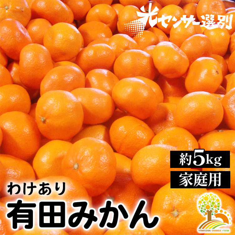 ＼光センサー選別／ 訳あり 有田みかん 約5kg  【ご家庭用】
※着日指定不可
※北海道・沖縄・離島への配送不可
※2024年11月中旬～2025年1月上旬頃に順次発送予定