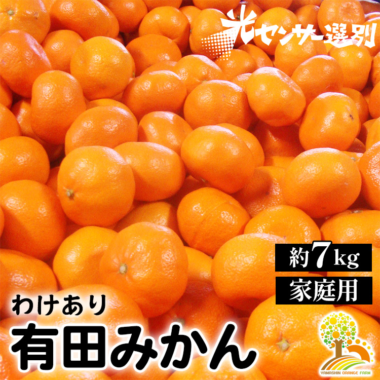 みかん 田村のみかん 約2キロ 規格外 綺麗目 - 果物