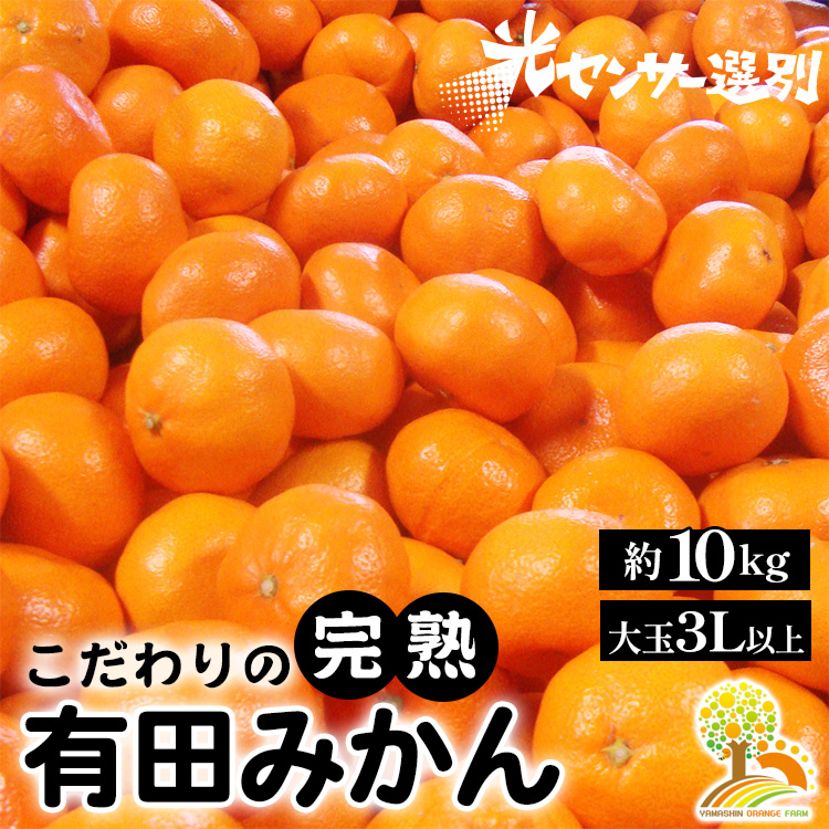 有田みかん 約10kg 大玉3L以上 有機質肥料100% ＼光センサー選別／ 農家直送 ※北海道・沖縄・離島への配送不可 ※2024年11月中旬～2025年1月上旬頃に順次発送予定