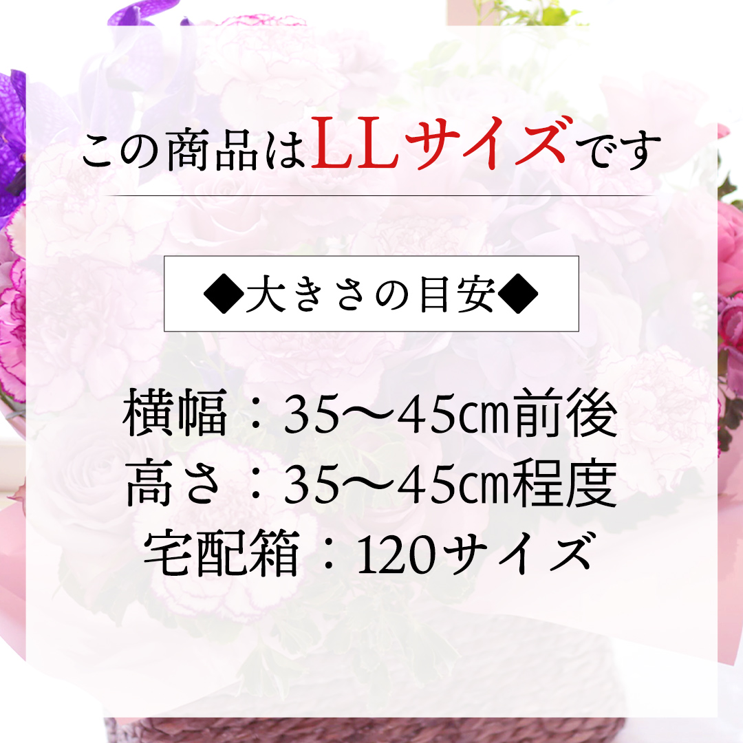 【 12ヶ月 定期便 】 癒し の フラワー セラピー アレンジメント LLサイズ お花 花 はな アレンジ リラックス リフレッシュ ストレス  [CT131ci]|Hanaclub