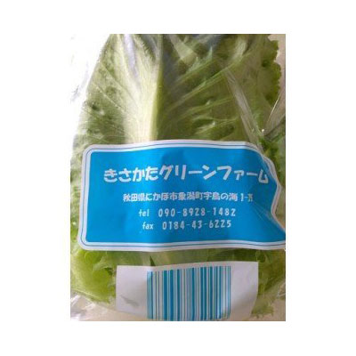 秋田県にかほ市のふるさと納税 きれいな水で育てた新鮮レタスセット400g（100g×4袋 野菜 小分け）