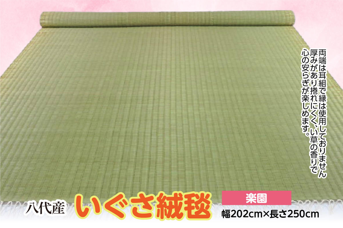 熊本県八代市のふるさと納税 いぐさ絨毯【楽園】幅202cm×長さ250cm 八代市産