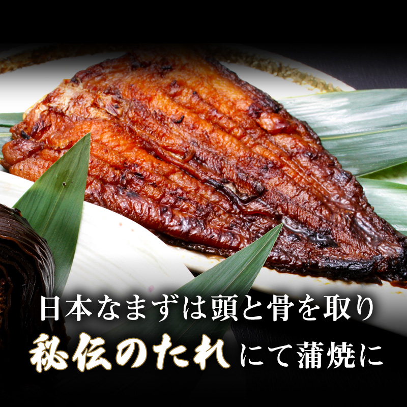 岐阜県海津市のふるさと納税 日本なまず蒲焼・川魚の晩酌セット