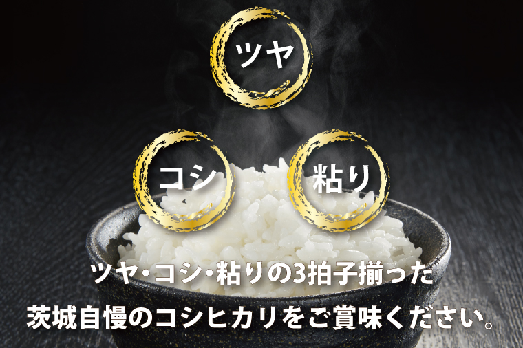 8カ月定期便】 令和5年産 新米 無洗米 茨城 コシヒカリ 10kg (5kg×2袋