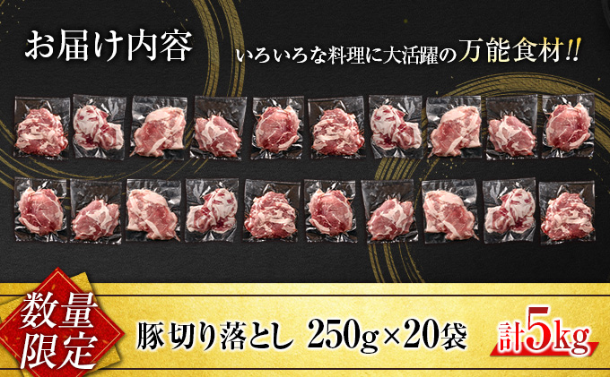 宮崎県日南市のふるさと納税 小分けで便利 数量限定 豚 切り落とし 計5kg お肉 豚肉 ポーク 国産 小分け 真空パック 個包装 万能食材 おすすめ おかず 食品 炒め物 お弁当 豚丼 豚しゃぶ しゃぶしゃぶ 焼肉 お祝い 記念日 ギフト 贈り物 贈答 プレゼント おすそ分け 宮崎県 日南市 送料無料_CD61-24