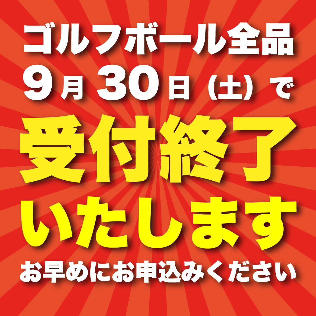 2023年9月30日まで 】 ゴルフボール タイトリスト PROV1X ホワイト 4