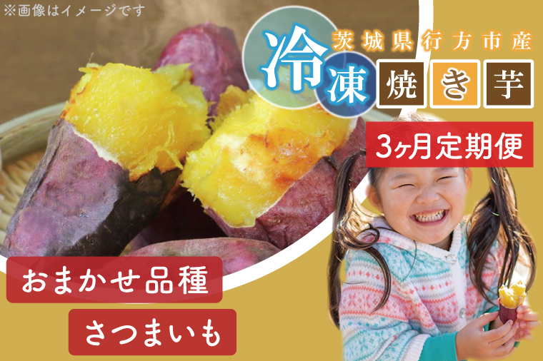 茨城県行方市のふるさと納税 EY-9　【3ヶ月定期便】熟成紅はるかの冷凍焼き芋約3kg＋おまかせ品種さつまいも　合計約3.3kg！