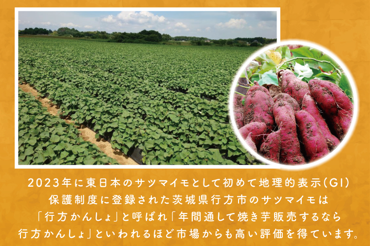 茨城県行方市のふるさと納税 EY-19　【12ヶ月定期便】熟成紅はるかの冷凍焼き芋約1.2kg＋おまかせ品種さつまいも　合計1.3kg！