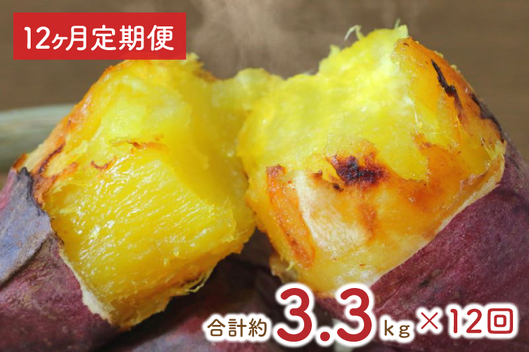 茨城県行方市のふるさと納税 EY-21　【12ヶ月定期便】熟成紅はるかの冷凍焼き芋約3kg＋おまかせ品種さつまいも　合計約3.3kg！
