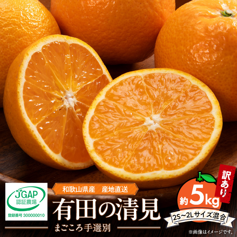 ya̎RLcS󒬁zZE6158n_y2026Ns\za̎RY Lc i󂠂 ƒpj5kg (2S`2LTCY)i܂Iʁj