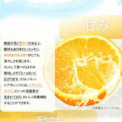 G6094_【先行予約】希少な国産バレンシアオレンジ 5kg 秀品
