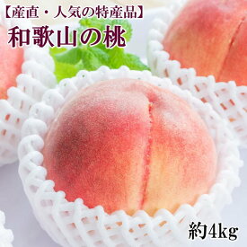 ZD6181_【先行予約】【産直・人気果物】和歌山の桃 4kg・秀選品