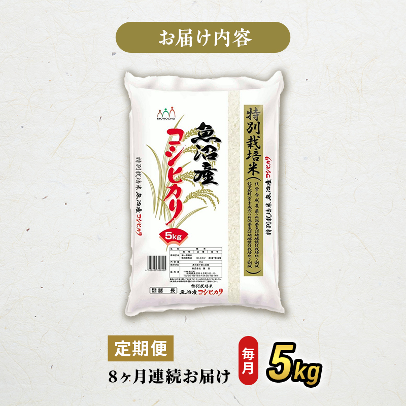 新潟県特別栽培米こしひかり】 5㎏ - 新潟県長岡市の五ツ星お米