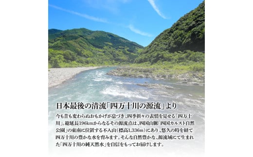 高知県芸西村のふるさと納税 SKS061 四万十の純天然水 500ml×24本 水 天然水 ナチュラルミネラルウォーター モンドセレクション金賞受賞 健康 おいしい お水 飲みやすい おすすめ ご家庭用 ご自宅用 防災 水 まとめ買い