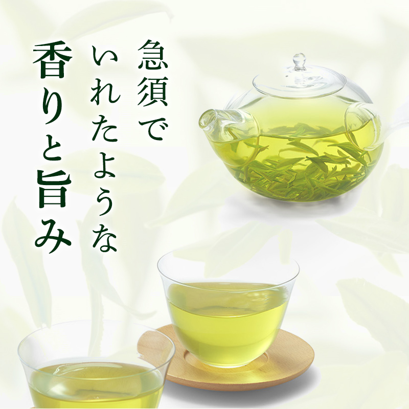 お茶 定期便 3ヶ月 綾鷹 525ml 24本 セット ペットボトル 広島 三原