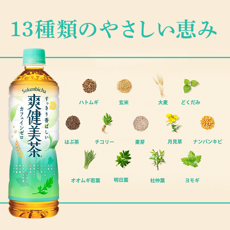 お茶 爽健美茶 600ml 24本 セット ペットボトル 広島 三原 コカ