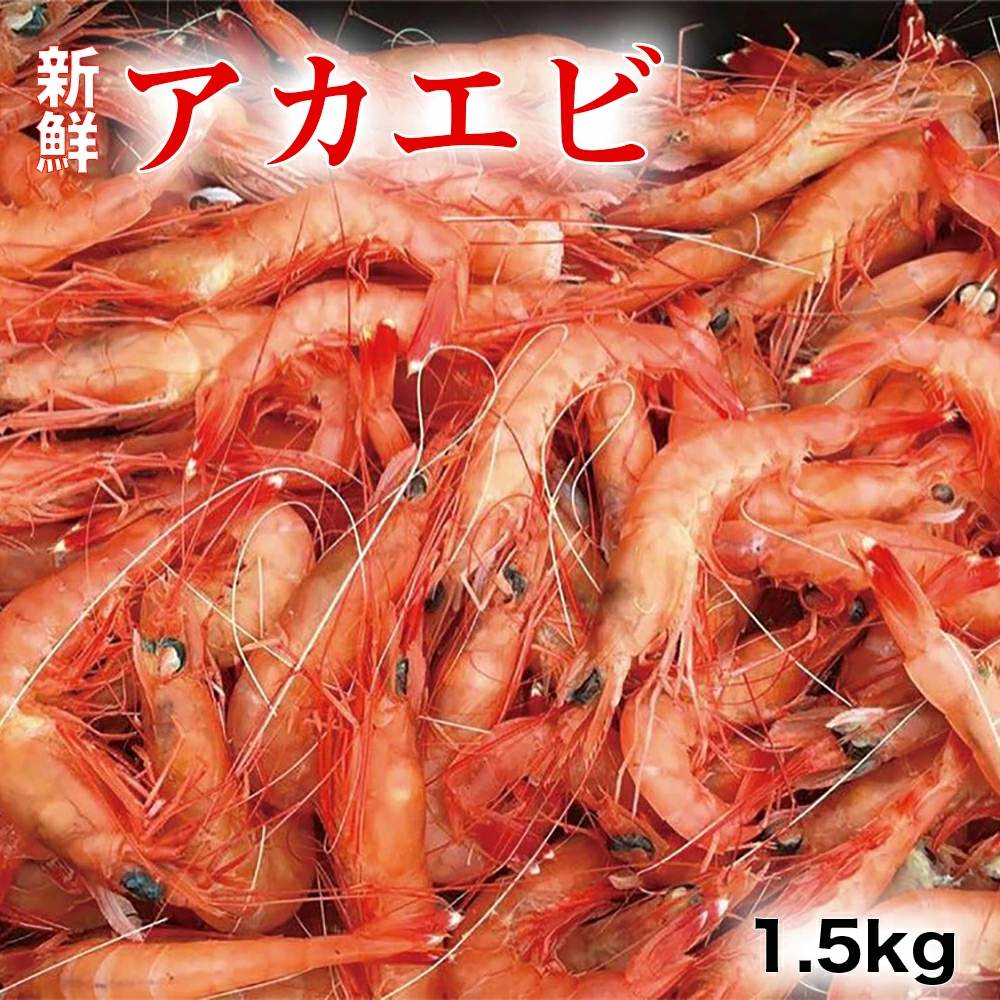 アカエビ1.5kg N014-YZA583 / 宮崎県延岡市 | セゾンのふるさと納税