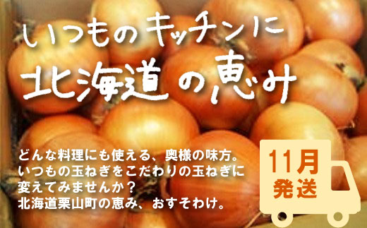 11月発送】越冬用減農薬玉ねぎ10kg A003 / 北海道栗山町 | セゾンの