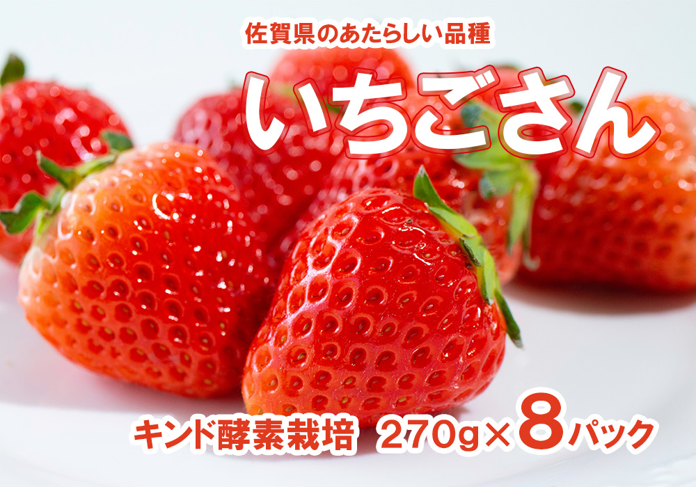 いちご 白いちご 淡雪 DX 等級 あわゆき 250g×2パック 合計500g