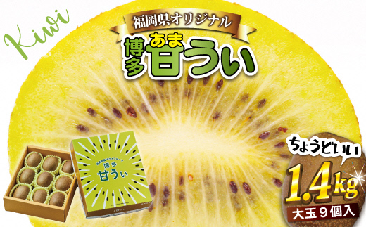 福岡県福津市のふるさと納税 【2024年11～12月出荷】福岡県ブランドキウイフルーツ「博多甘うぃ」化粧箱大玉9玉約1.4kg[F2279]