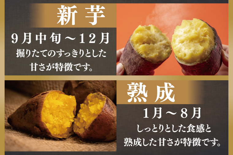 茨城県行方市のふるさと納税 CU-194　【2024年12月より発送】【6ヶ月定期便】無選別　行方台地のさつまいも　紅はるか約10kg