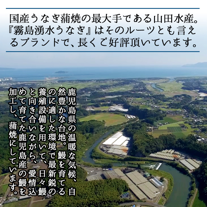 鹿児島県志布志市のふるさと納税 【志布志市人気No.1お礼の品】霧島湧水鰻の蒲焼き 160g以上×4尾＜計640g以上＞ b5-178