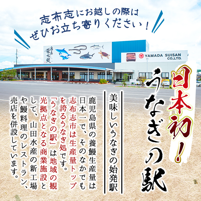 鹿児島県志布志市のふるさと納税 【志布志市人気No.1お礼の品】霧島湧水鰻の蒲焼き 160g以上×4尾＜計640g以上＞ b5-178