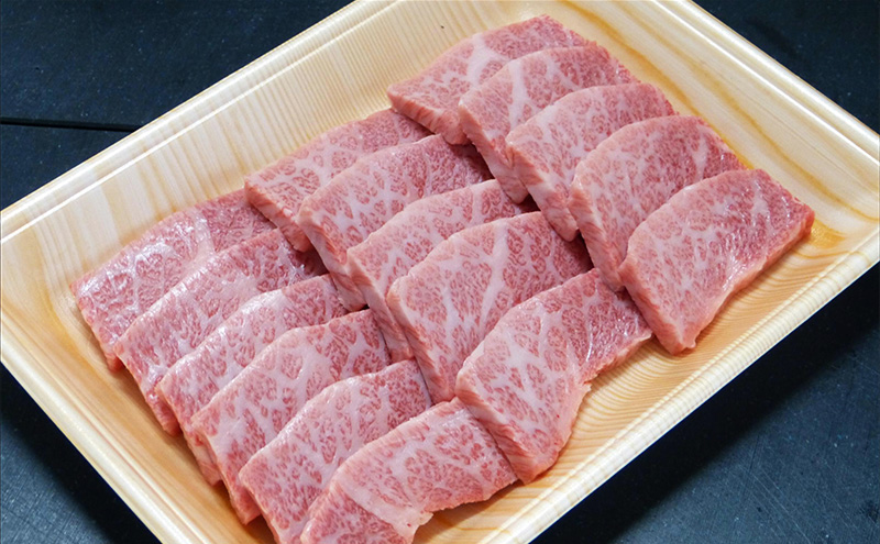 岐阜県池田町のふるさと納税 【セゾン限定】 牛肉 飛騨牛 焼肉 希少部位 三角バラ 300ｇ 黒毛和牛 Ａ5 美味しい お肉 牛 肉 和牛 焼き肉 BBQ バーベキュー 【岐阜県池田町】